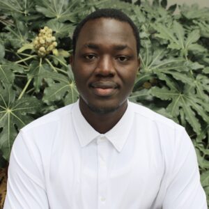 Ibra     SAMBOU